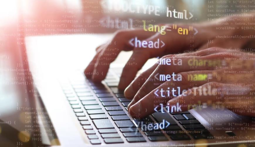河口区企业官网定制建设服务